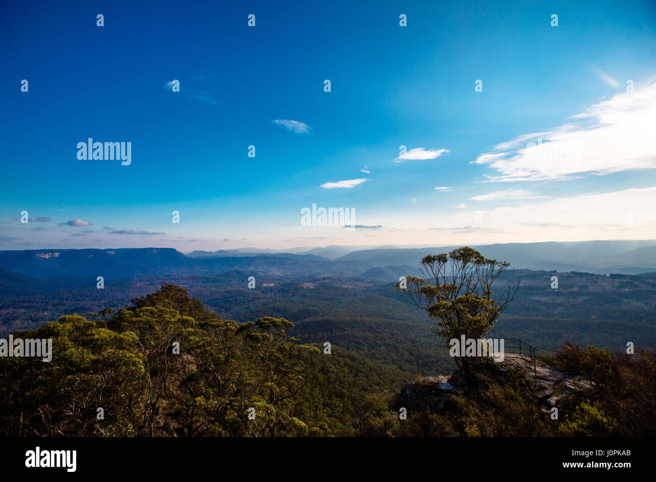 Die Ansicht der Grose River Valley, Blue Mountains, NEW SOUTH WALES von Evans lookount Stockfoto