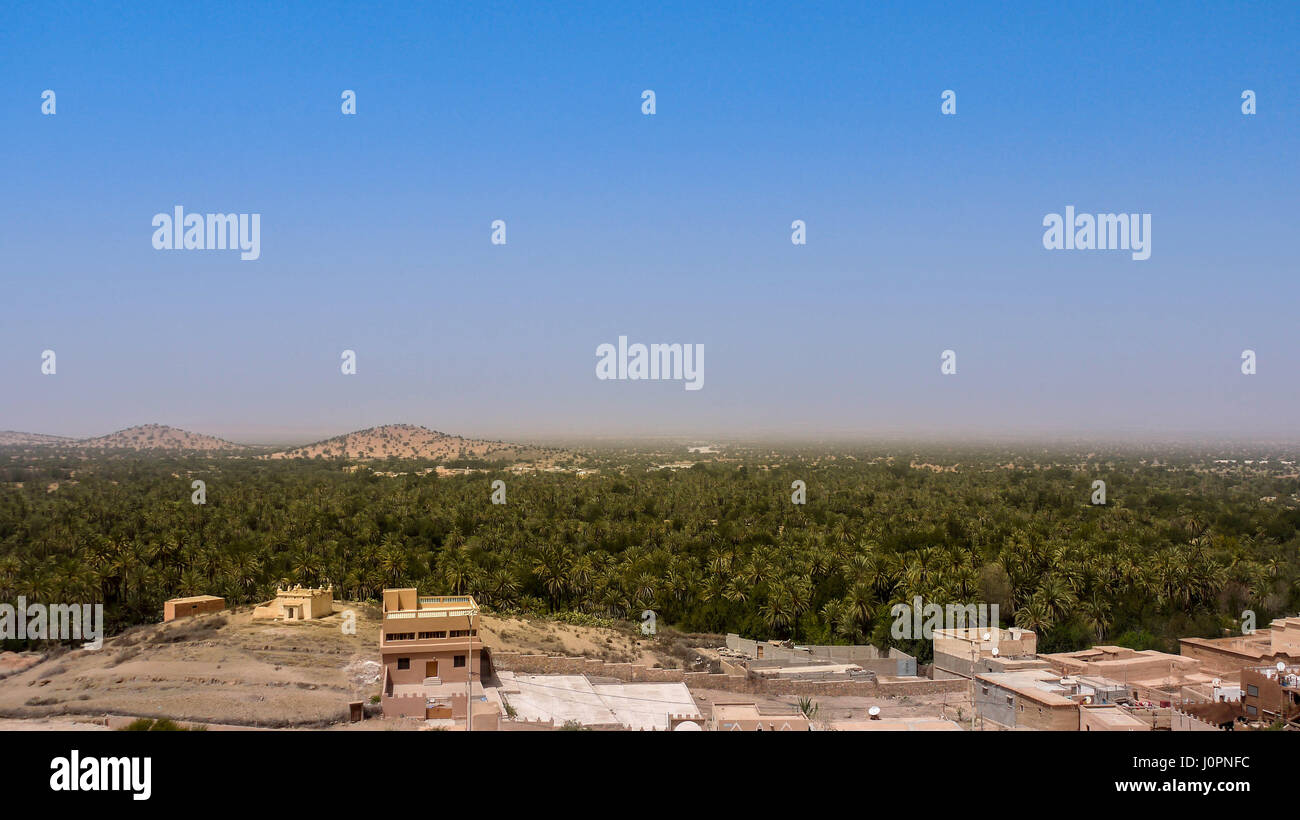 Blick von einem Hügel auf die grüne Oase Tiout, in der Nähe von Taroudant in orientalischen Marroko, Nordafrika Stockfoto