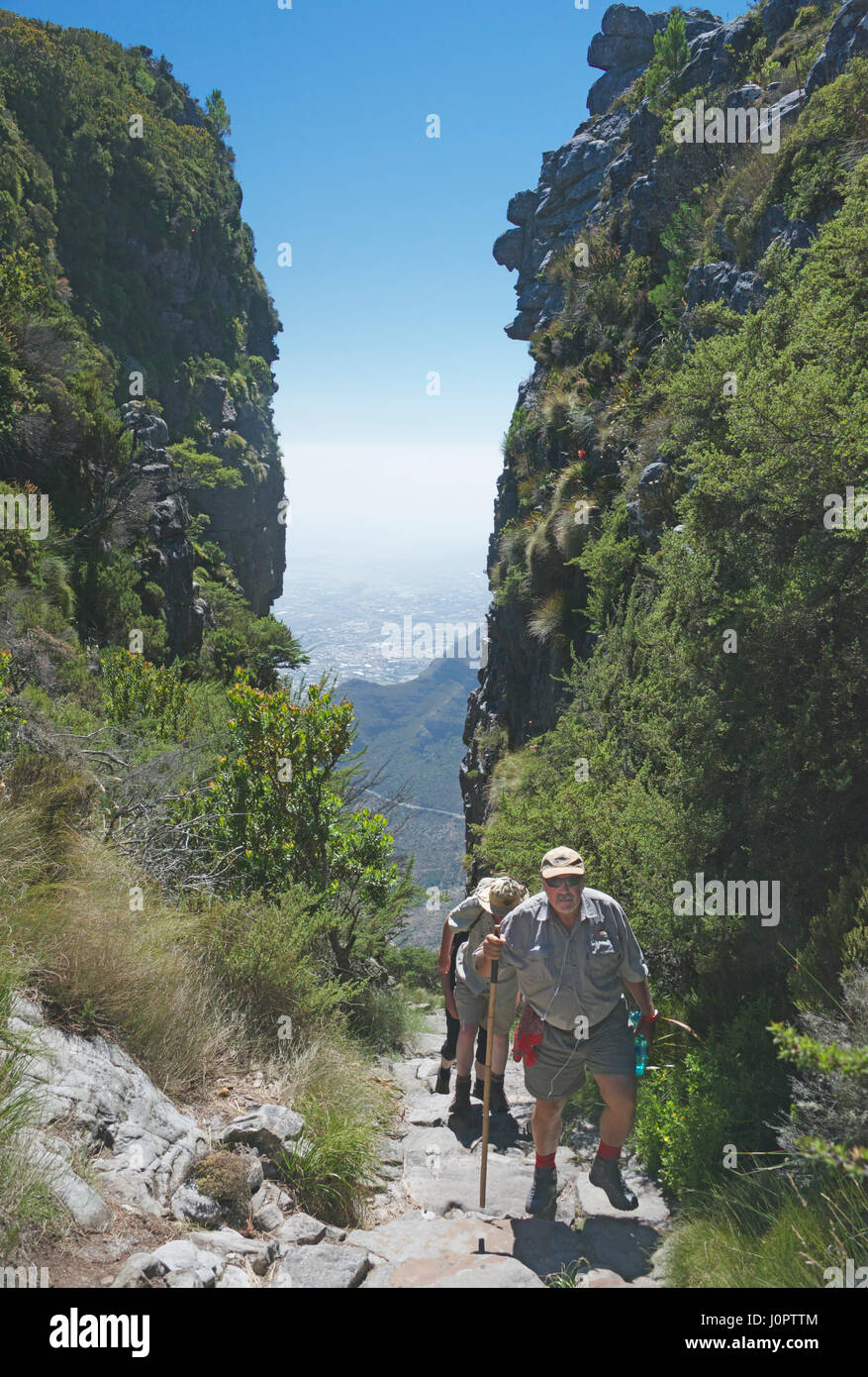 Menschen wandern, Table Mountain Kapstadt Südafrika Stockfoto