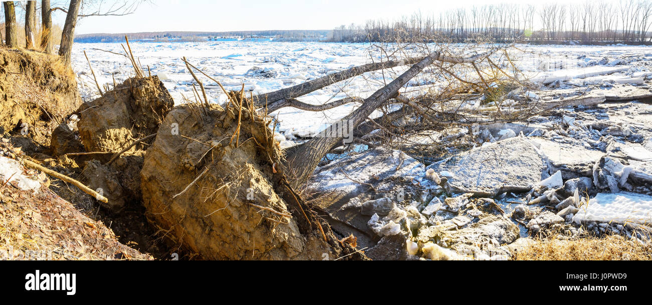 Der Eisstoß und umgestürzten Baum im Balakhonovskoe den Kanal des Flusses Tom in der Nähe der Stadt Kemerowo Stockfoto