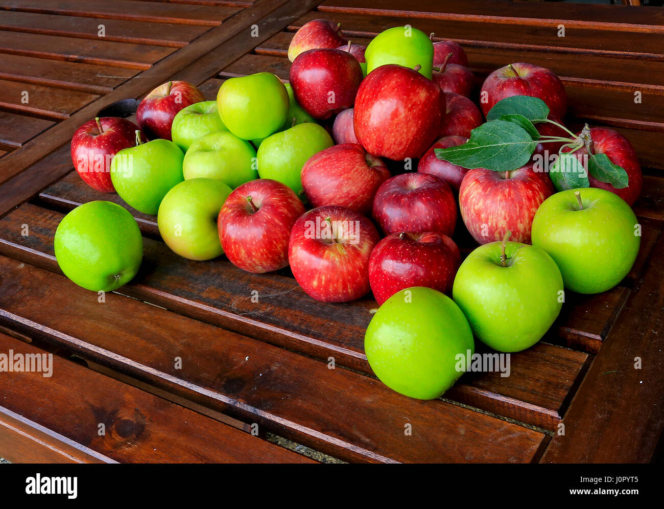 Apfelernte Stockfoto
