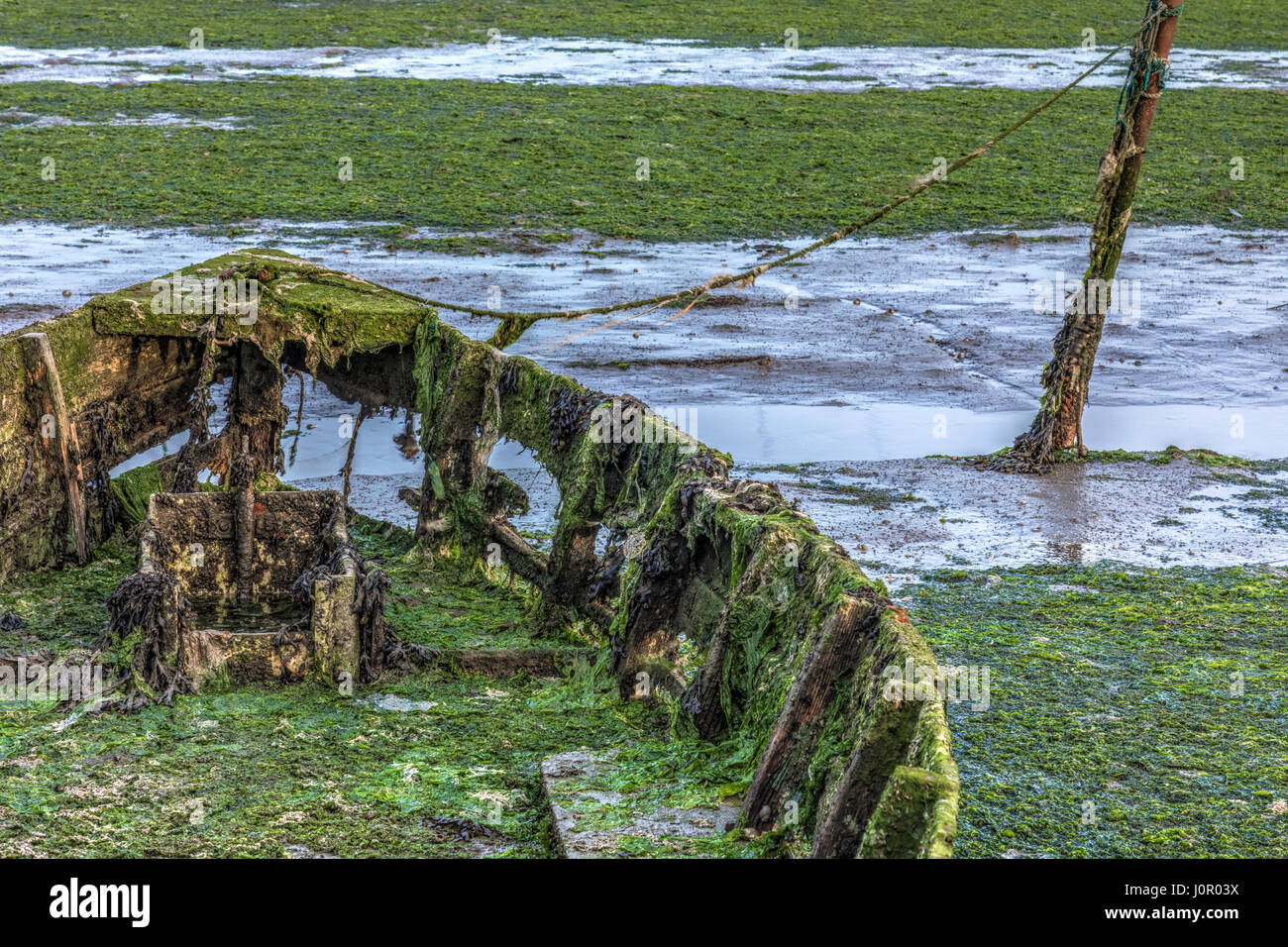 Boot-Wracks in Löcher Bay, Poole, Dorset, England, UK Stockfoto