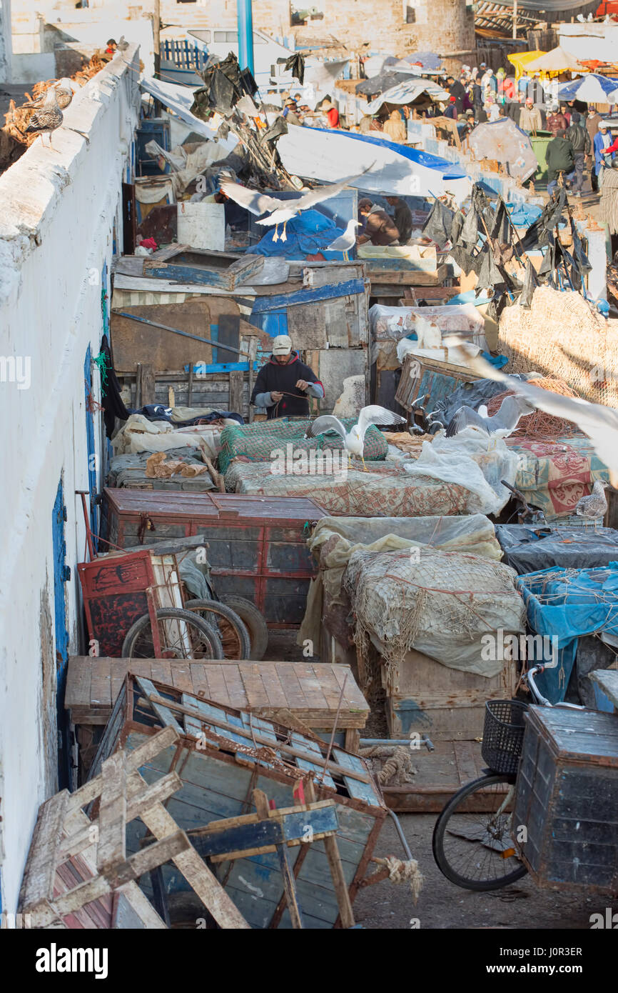 Dorf Essaouira Marokko, Möwen, Katzen, Fischer bei der Arbeit, Morgen, Januar 2017 Stockfoto