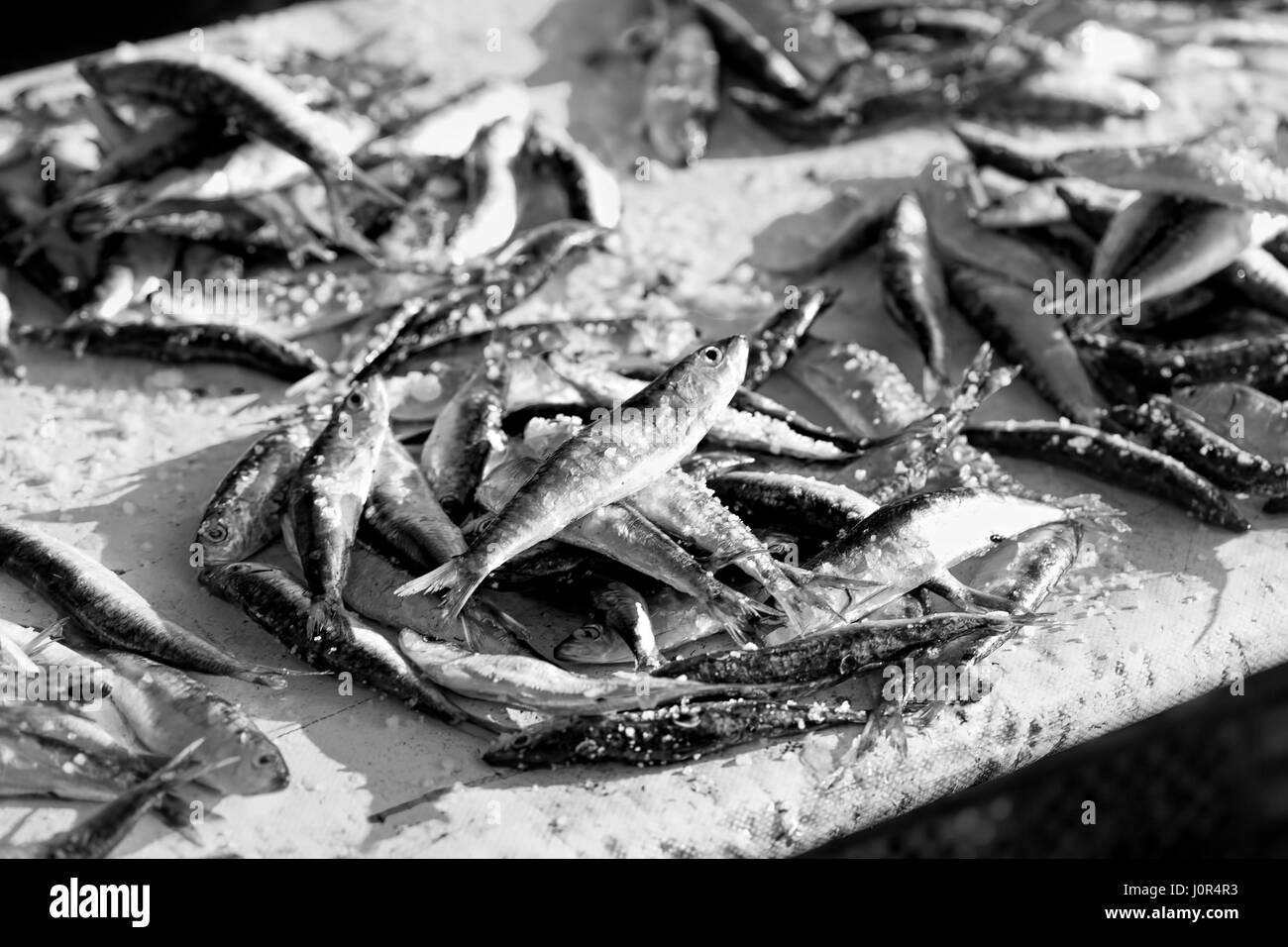 Sardinen am Fischmarkt Stockfoto