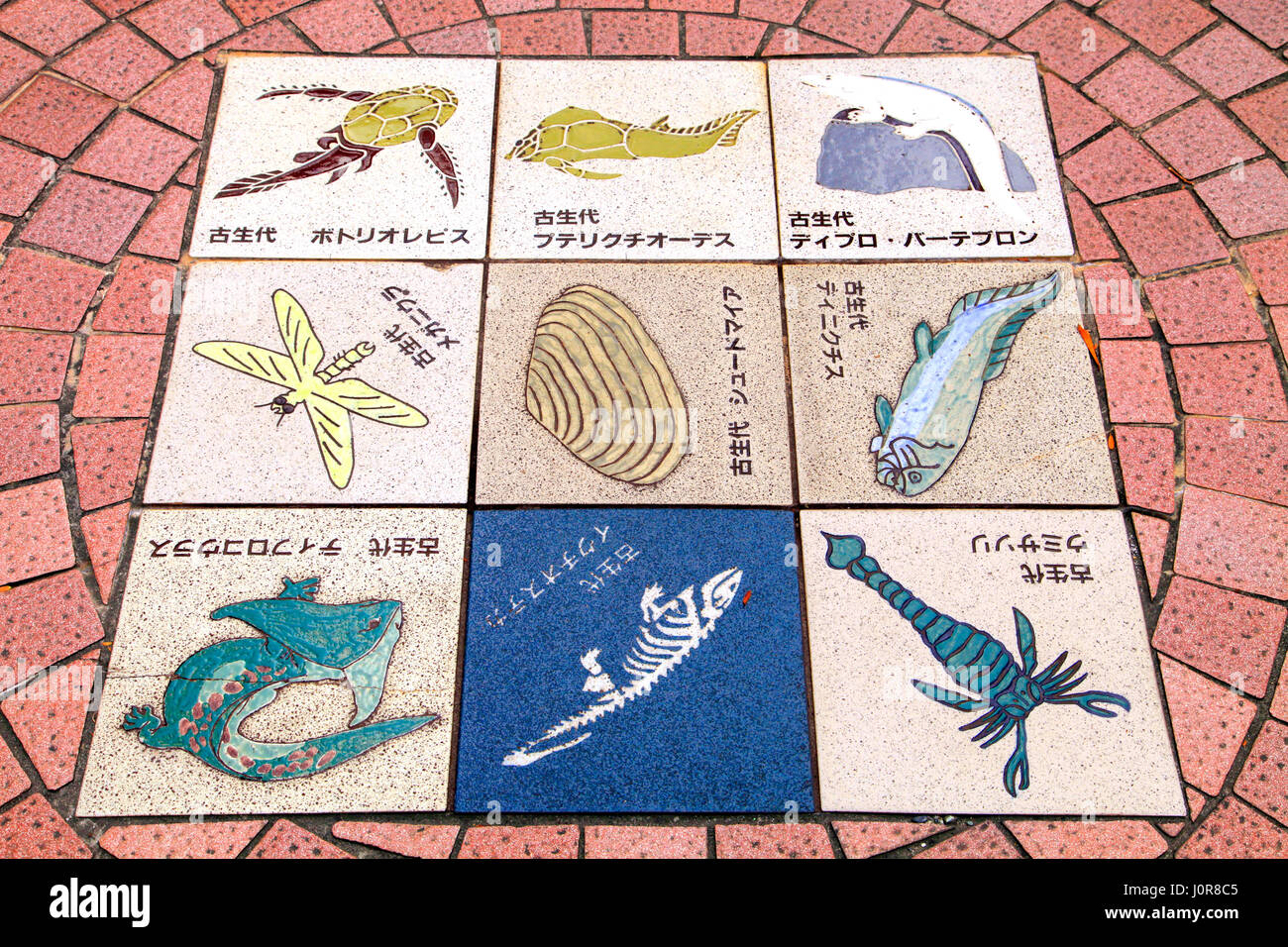 Illustriert von Fliesen der biologischen Evolution auf einem Bürgersteig vor Omori-Kaizuka Shell Mound in Ota Tokio Japan Stockfoto