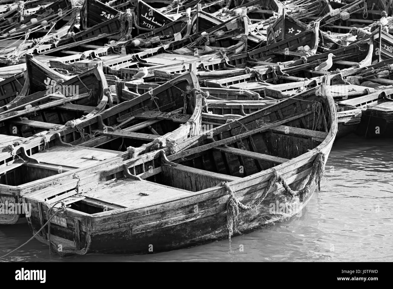 Fischerboote Schwarz und Weiß, Essaouira, Marokko Stockfoto