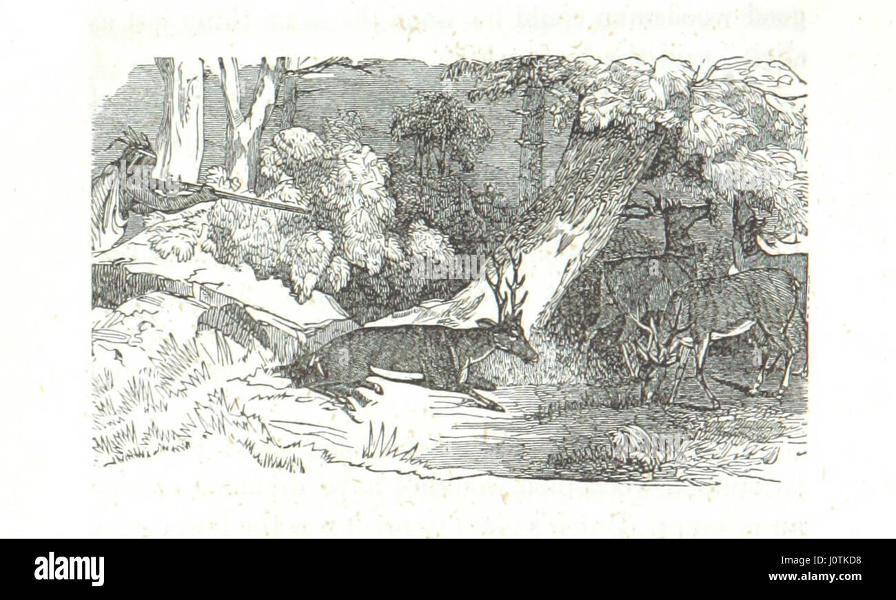 Dieses Buch gibt Einblicke in das Leben an der Grenze und bietet anschauliche Skizzen der Herausforderungen und Erfahrungen, denen die Bewohner eines Blockhauses gegenüberstehen. Stockfoto