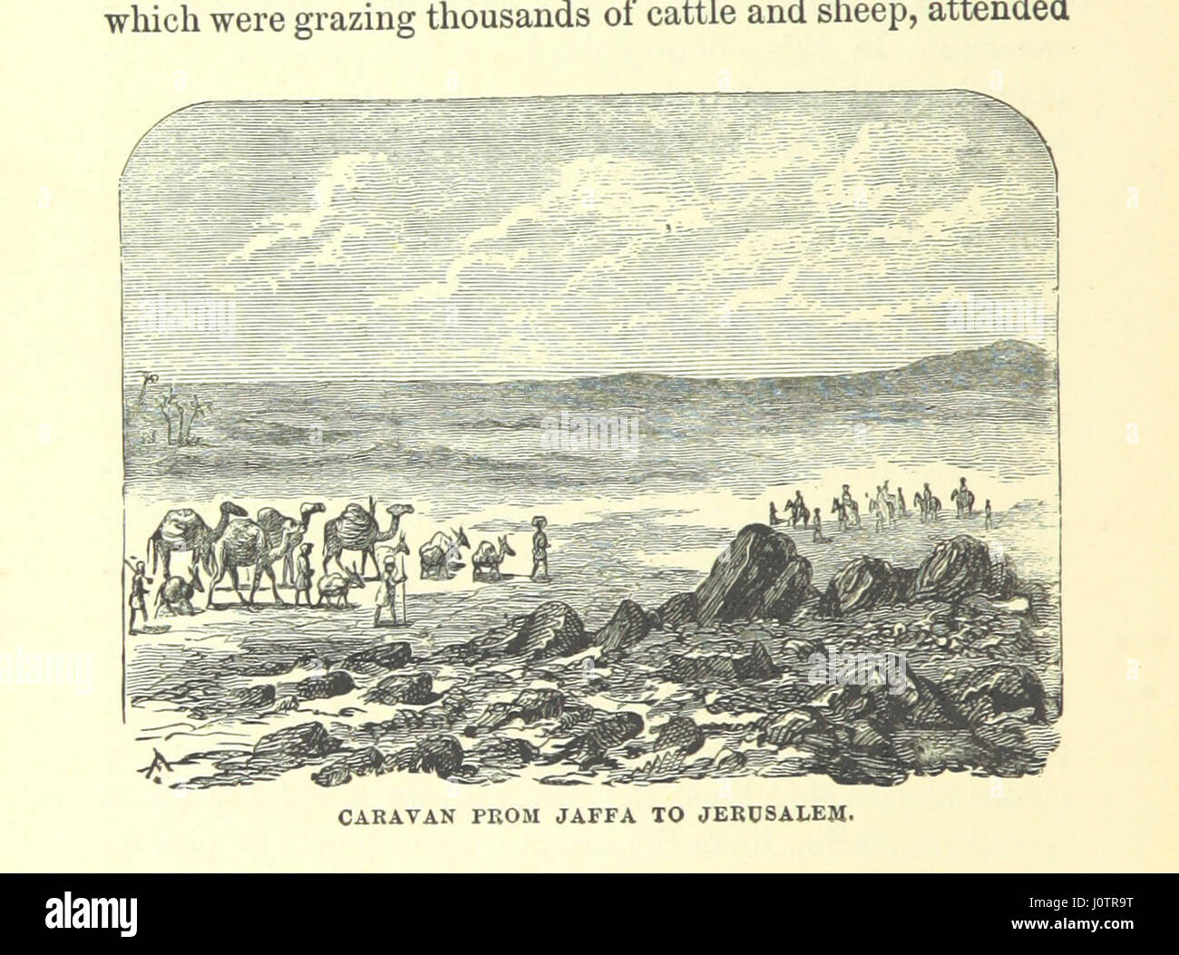 Arabistan: oder das Land aus "Tausendundeiner Nacht". Seins reist durch Ägypten, Arabien und Persien bis Bagdad... Mit einer Einführung von Bayard Taylor. [Illustriert]. Stockfoto