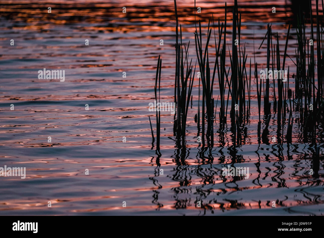 Ein farbenfrohen Sonnenuntergang spiegelt sich im Wasser des Weston Turville Reservoir, Aylesbury, UK nach einem sonnigen Frühlingstag im April 2017. Stockfoto