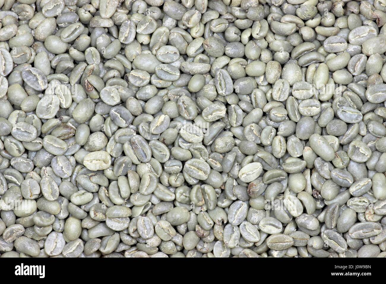 ungerösteten äthiopischen Kaffeebohnen für Nutzung im Hintergrund Stockfoto