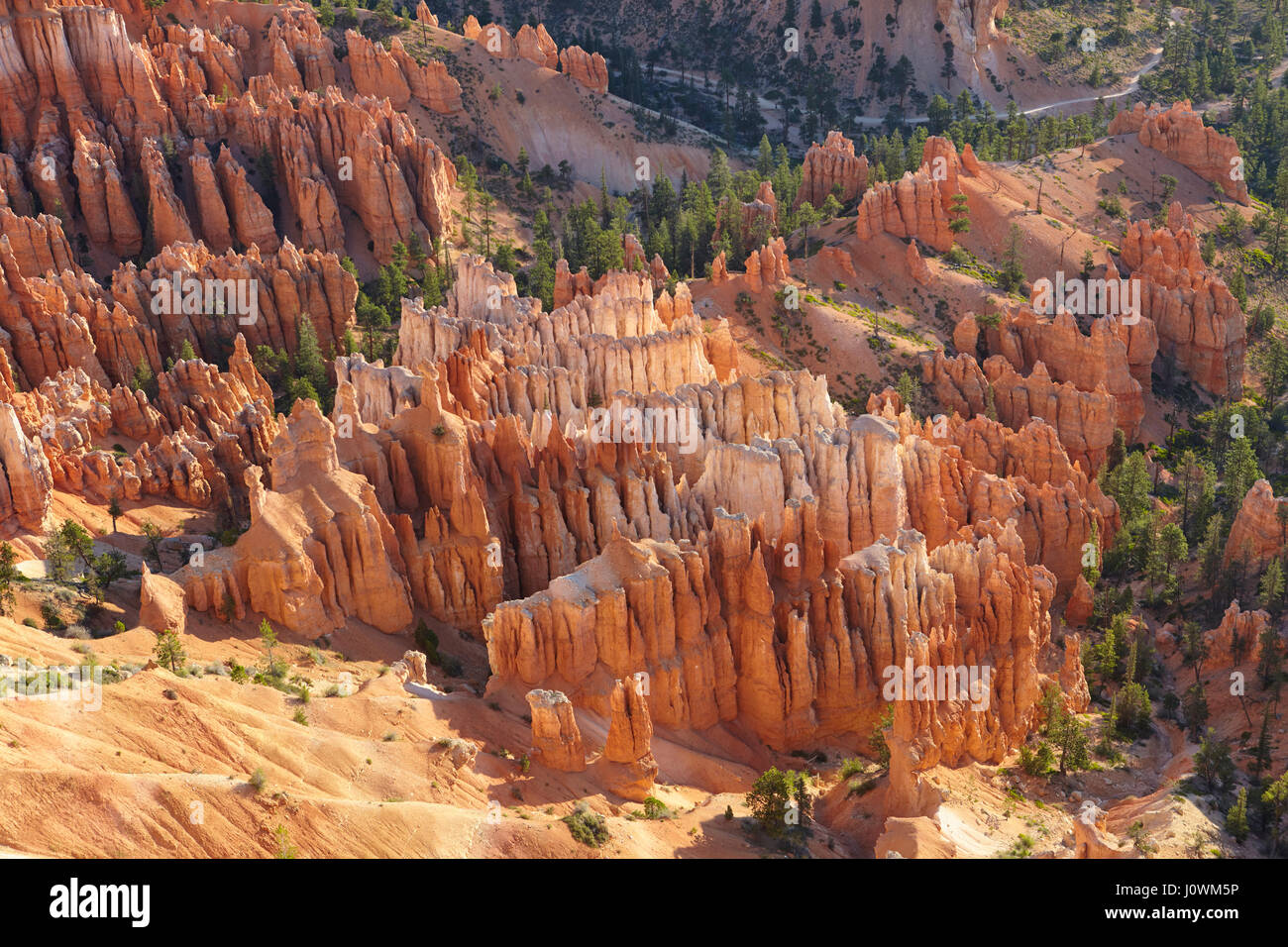 Bryce Canyon, Utah, Vereinigte Staaten von Amerika Stockfoto