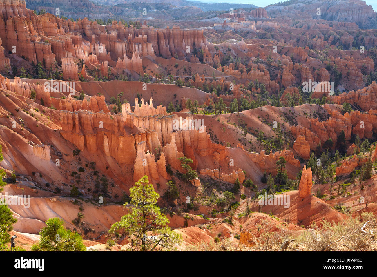 Bryce Canyon, Utah, Vereinigte Staaten von Amerika Stockfoto