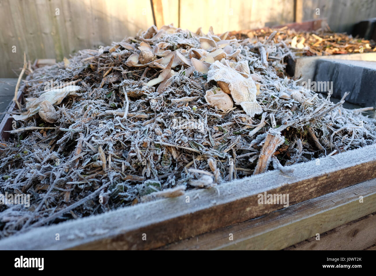 Frost im Winter auf Kompost Stockfoto