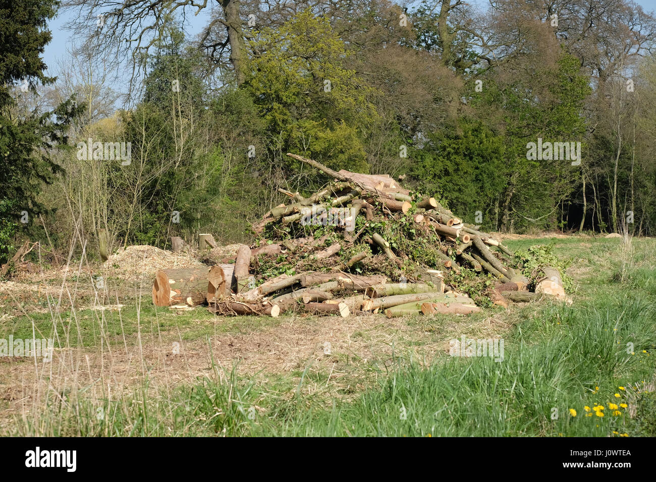 Protokolle in einem Feld gestapelt Stockfoto