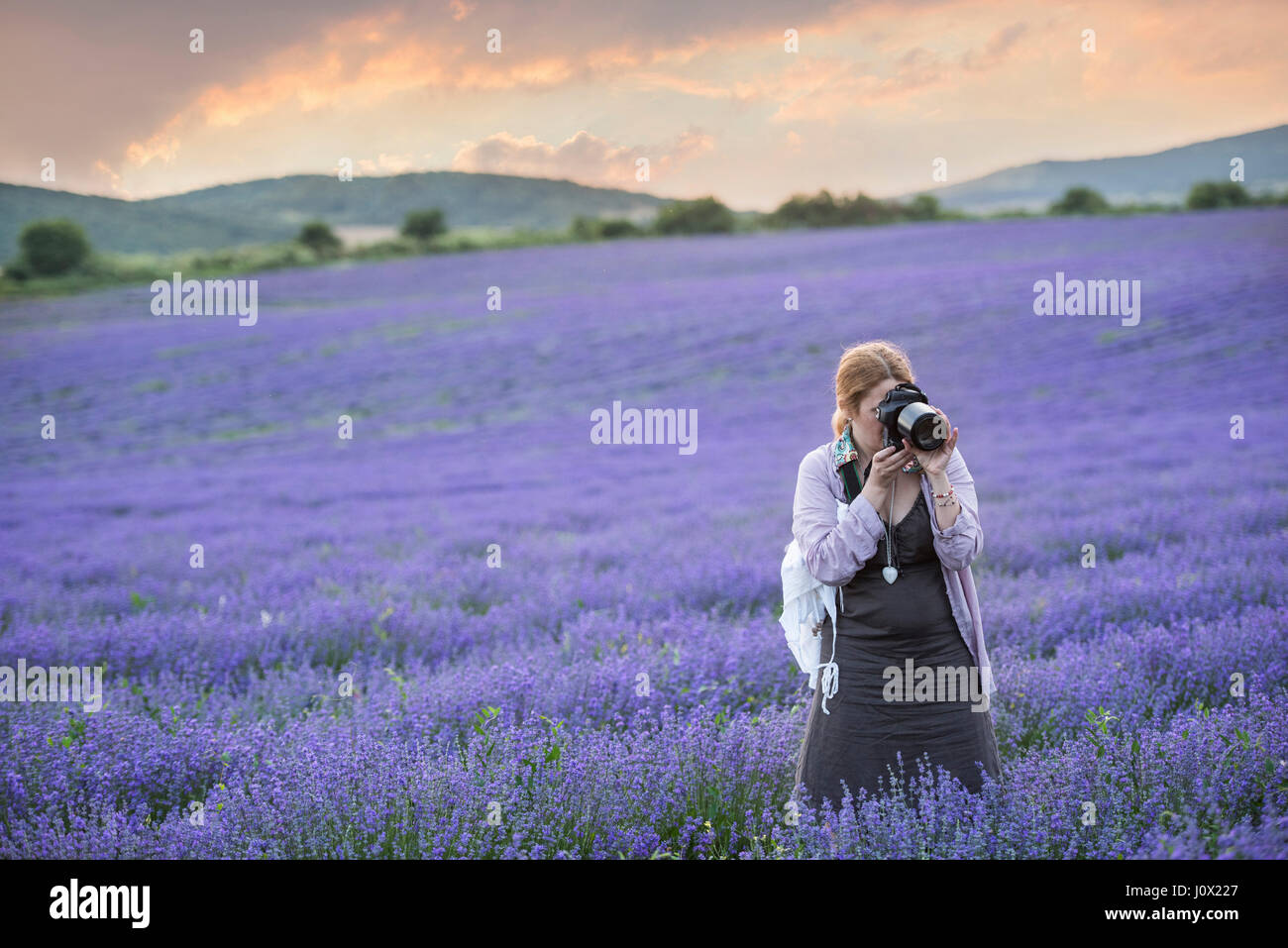 Frau stehend in einem Lavendelfeld fotografieren, Stara Zagora, Bulgarien Stockfoto