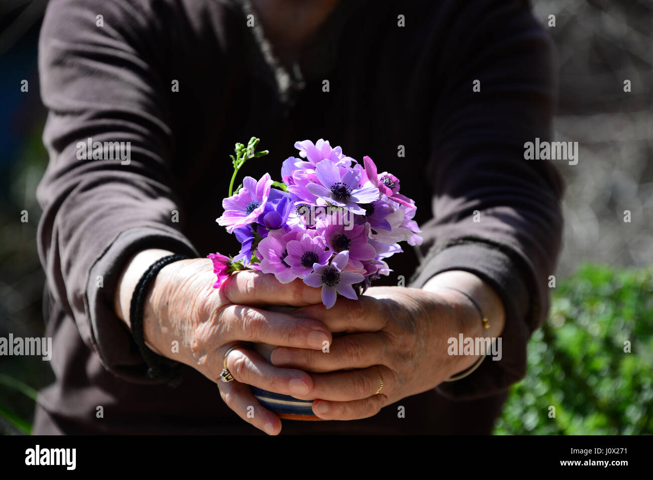 Frau mit Anemone Blumen Stockfoto