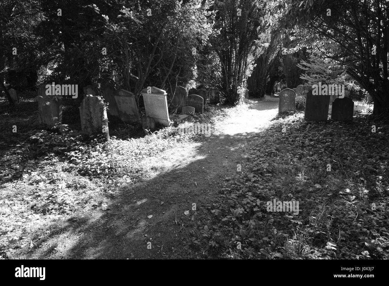 Ein Friedhof in Horsham, West Sussex Stockfoto