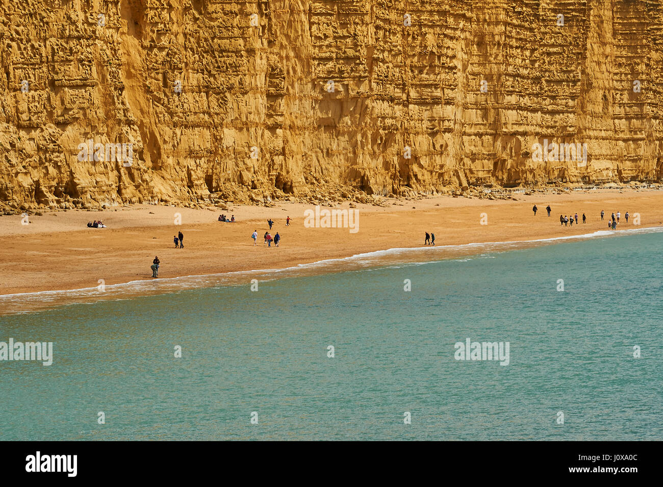 Sandsteinfelsen von East Cliff in Dorset am Meer Stadt von West Bay. Die berühmten Klippen sind auf der Jurassic Coast und etwa 150 Millionen Jahre alt. Stockfoto