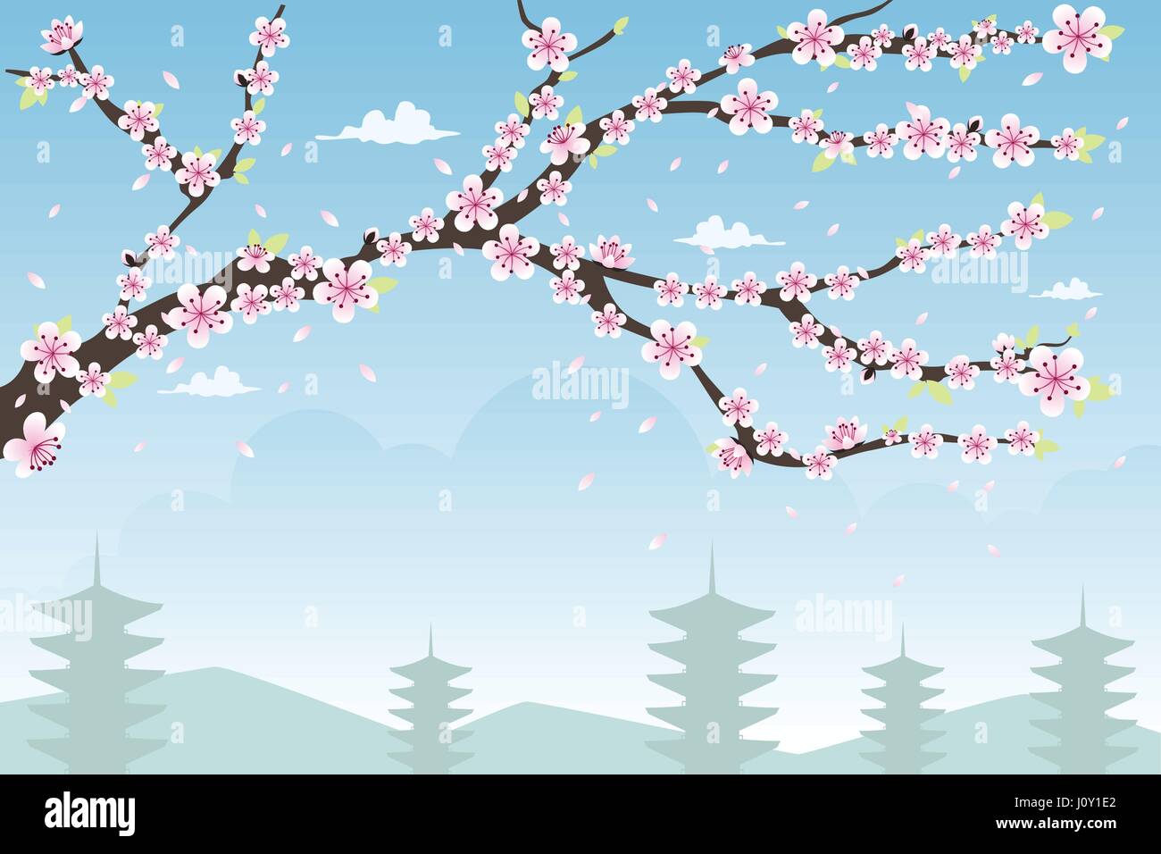 Eine Vektor-Illustration der Kirschblüte-Hintergrund-Design mit Exemplar Stock Vektor