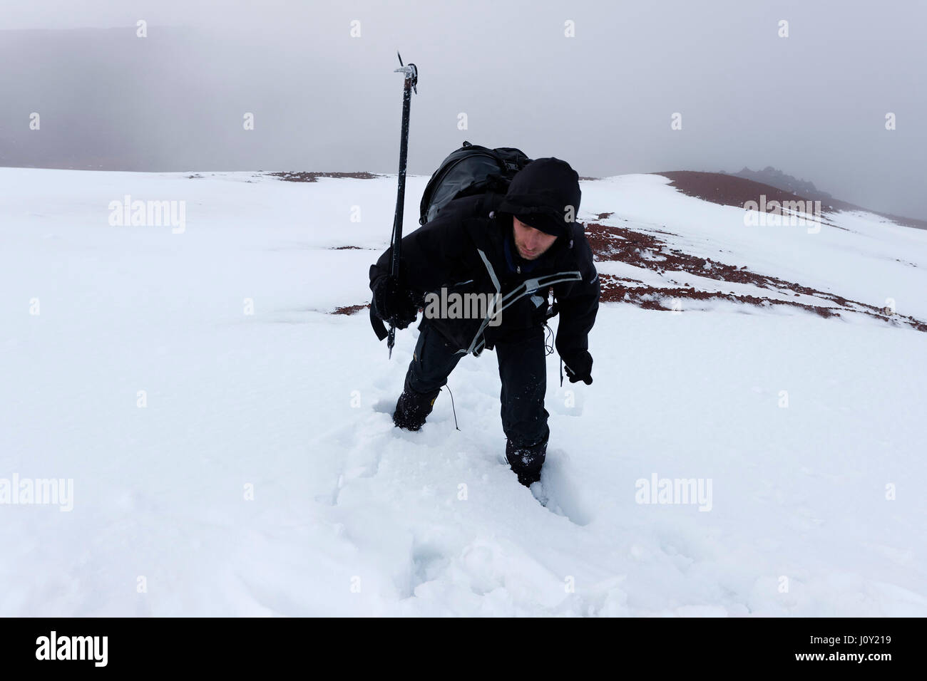 Die Besteigung des Cotopaxi, Ecuador Stockfoto