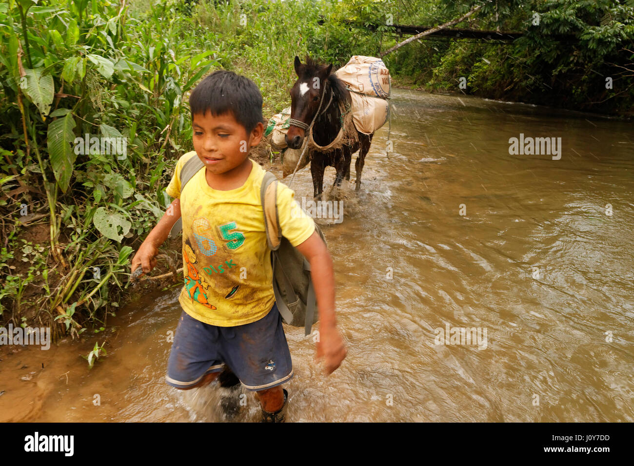 Indianerjunge und Pferd in Amazonas, Ecuador Stockfoto