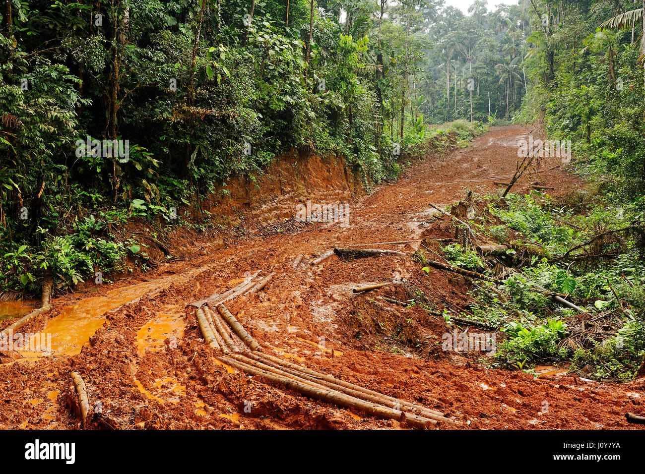 Schlammigen Straße in der Anden, Ecuador Stockfoto