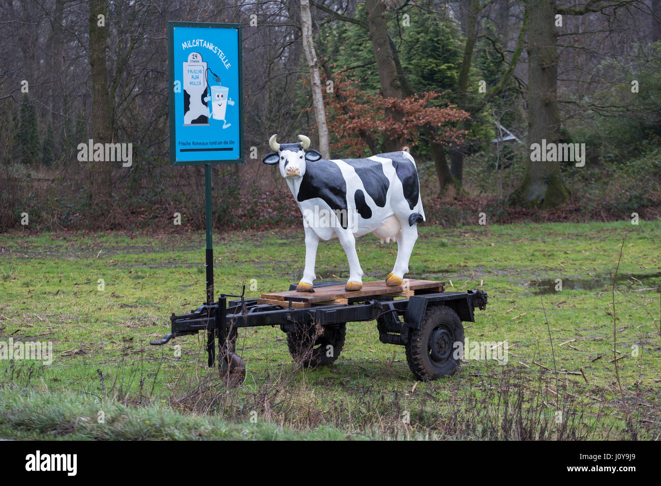 Modell-Kuh, die Milch in der Nähe von Milchviehbetrieb in Deutschland Werbung Stockfoto