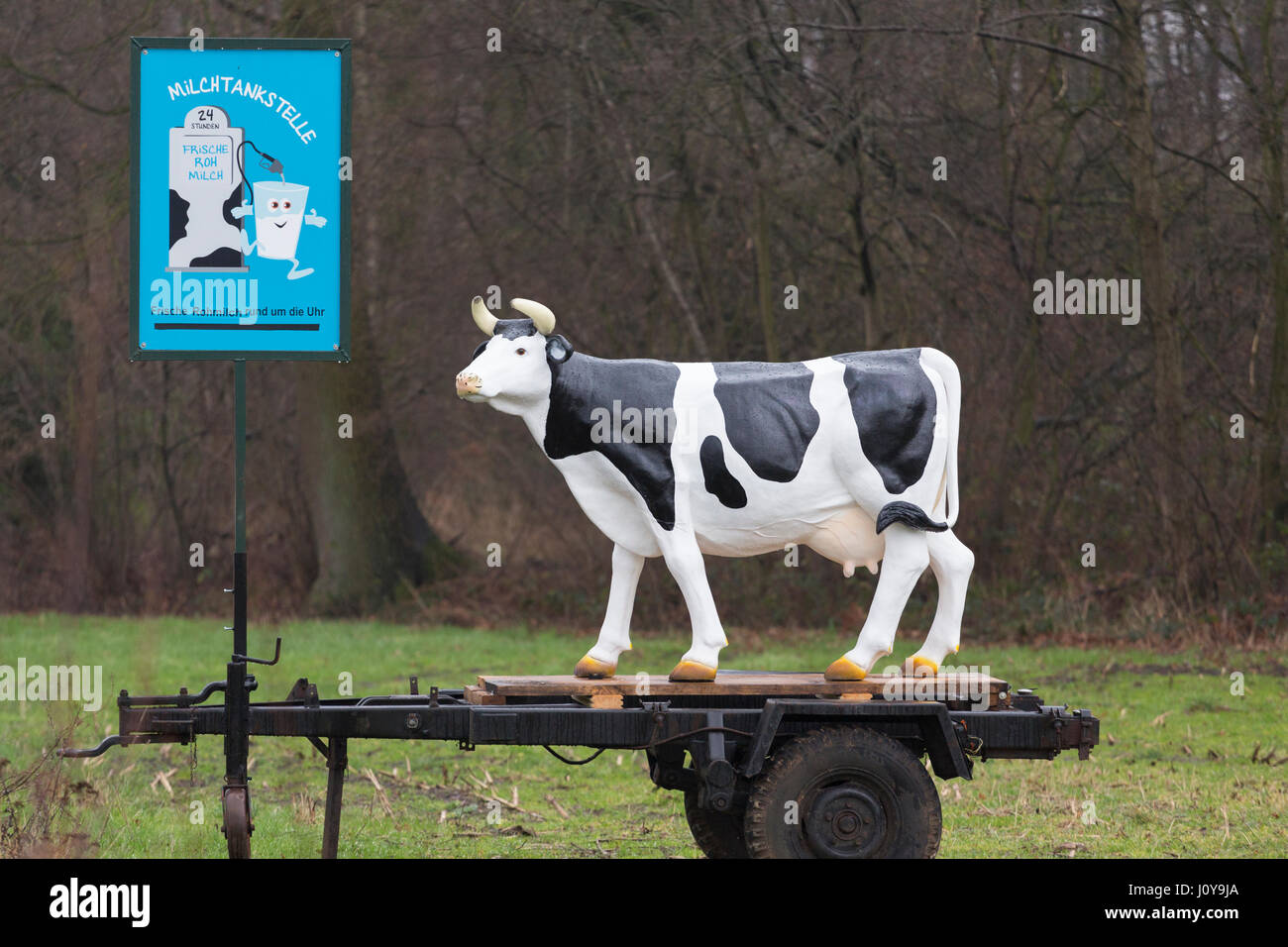 Modell-Kuh, die Milch in der Nähe von Milchviehbetrieb in Deutschland Werbung Stockfoto