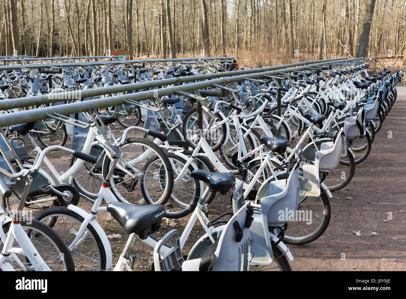 Fahrradverleih in der Hoge Veluwe National Park, Niederlande Stockfoto
