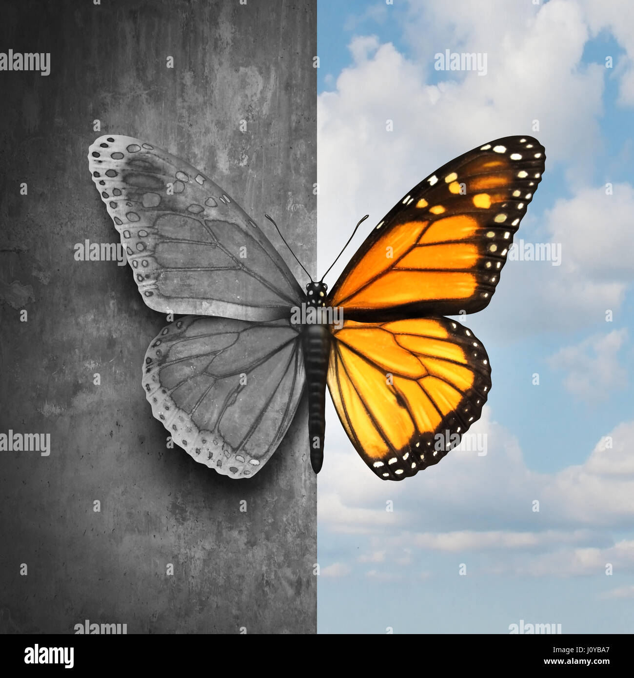 Bipolar Geistesstörung abstrakte psychologische Krankheit Konzept wie ein Schmetterling unterteilt als einseitig in den Farben grau und traurig. Stockfoto