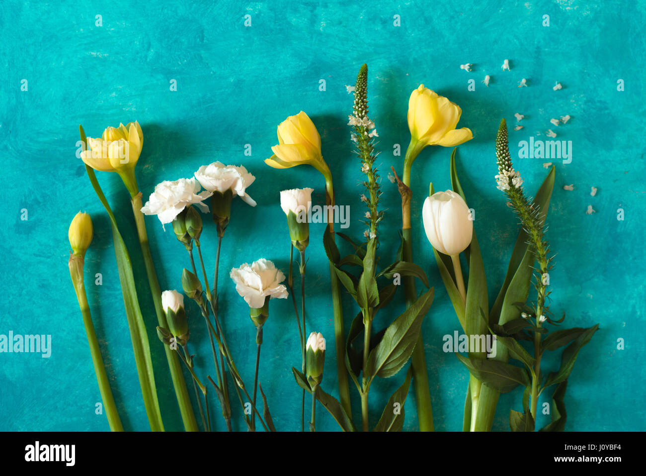 Frühling Blumen auf das Cyan Hintergrund Draufsicht Stockfoto