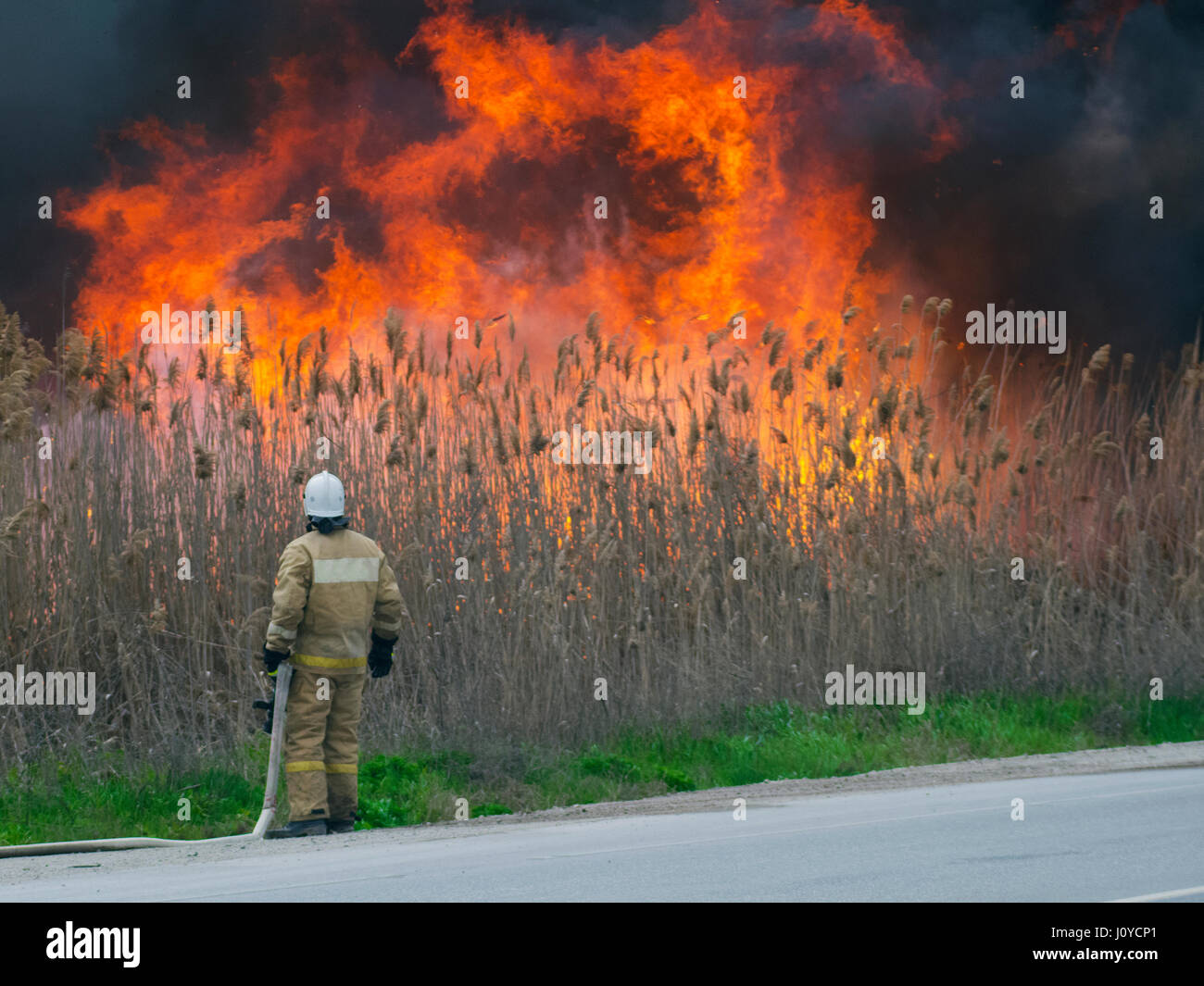 Der Feuerwehrmann blickt auf ein großes Feuer Stockfoto