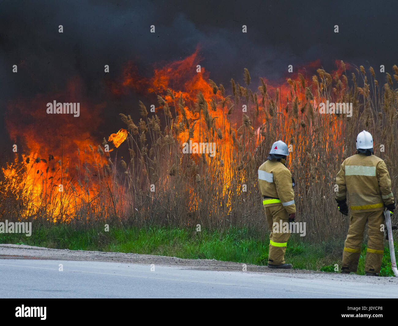 Die Feuerwehrmänner suchen bei dem großen Feuer Stockfoto