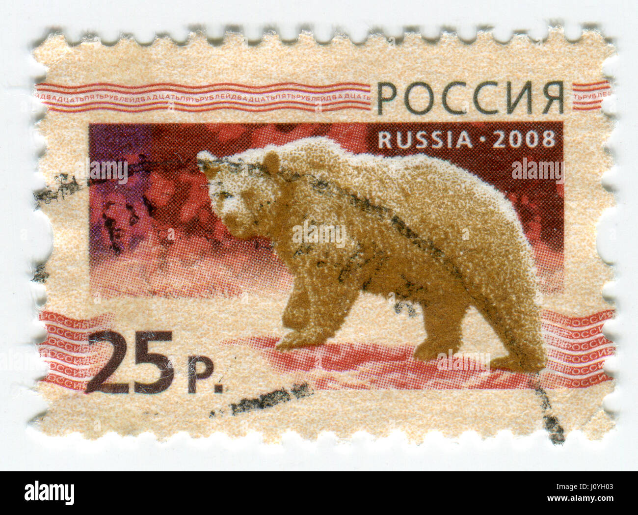 GOMEL, WEIßRUSSLAND, 15. APRIL 2017. Briefmarke gedruckt in Russland zeigt Bild von The Bears sind Carnivoran Säugetiere der Familie Ursidae, circa 2008. Stockfoto