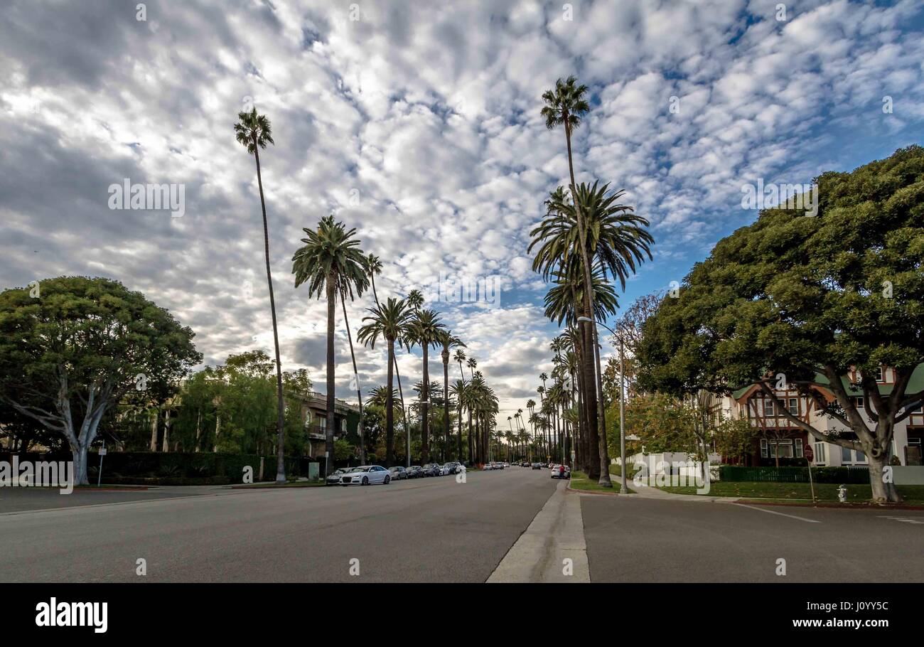 Straße mit Palmen in Beverly Hills - Los Angeles, Kalifornien, USA Stockfoto