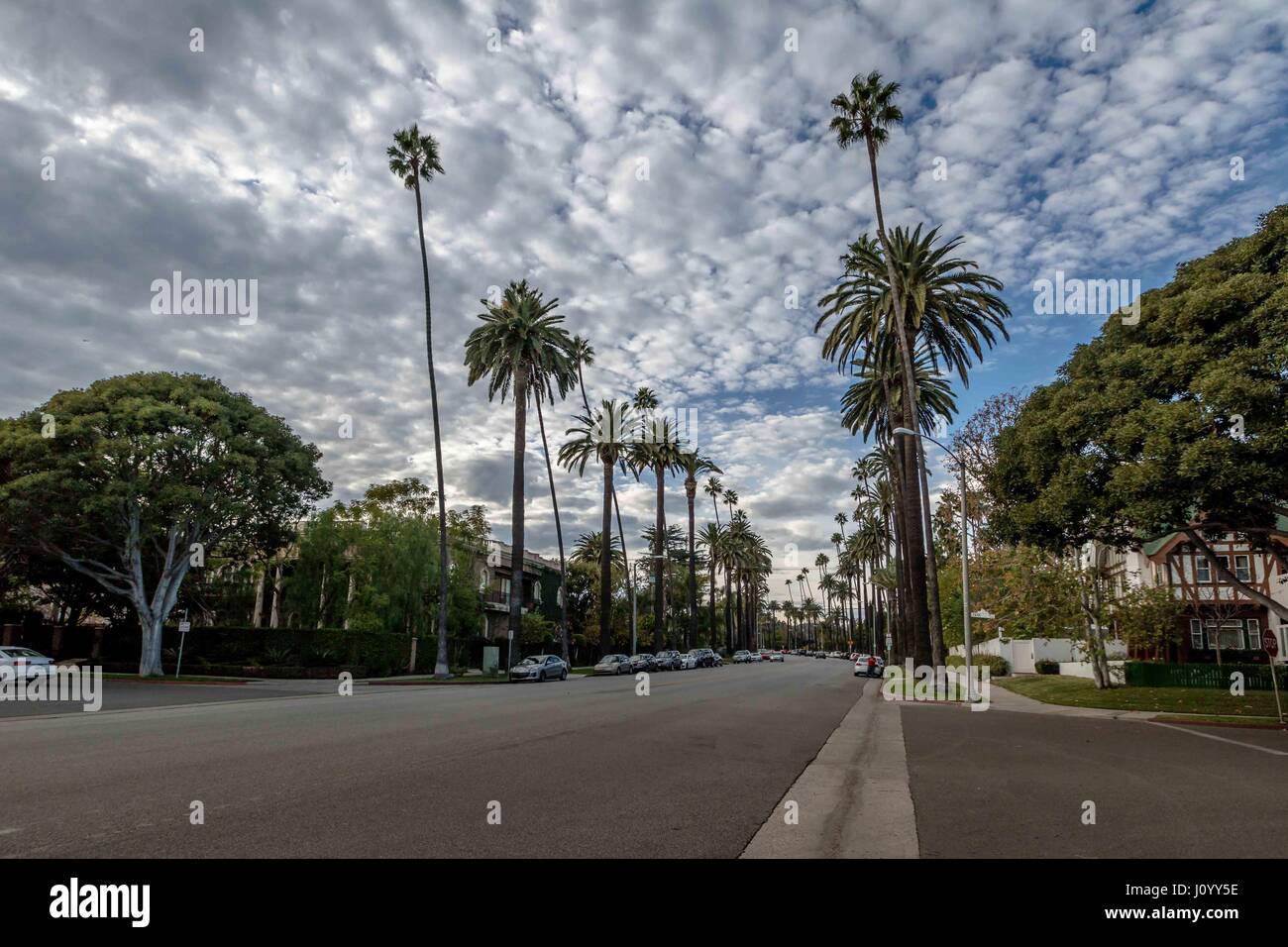 Straße mit Palmen in Beverly Hills - Los Angeles, Kalifornien, USA Stockfoto