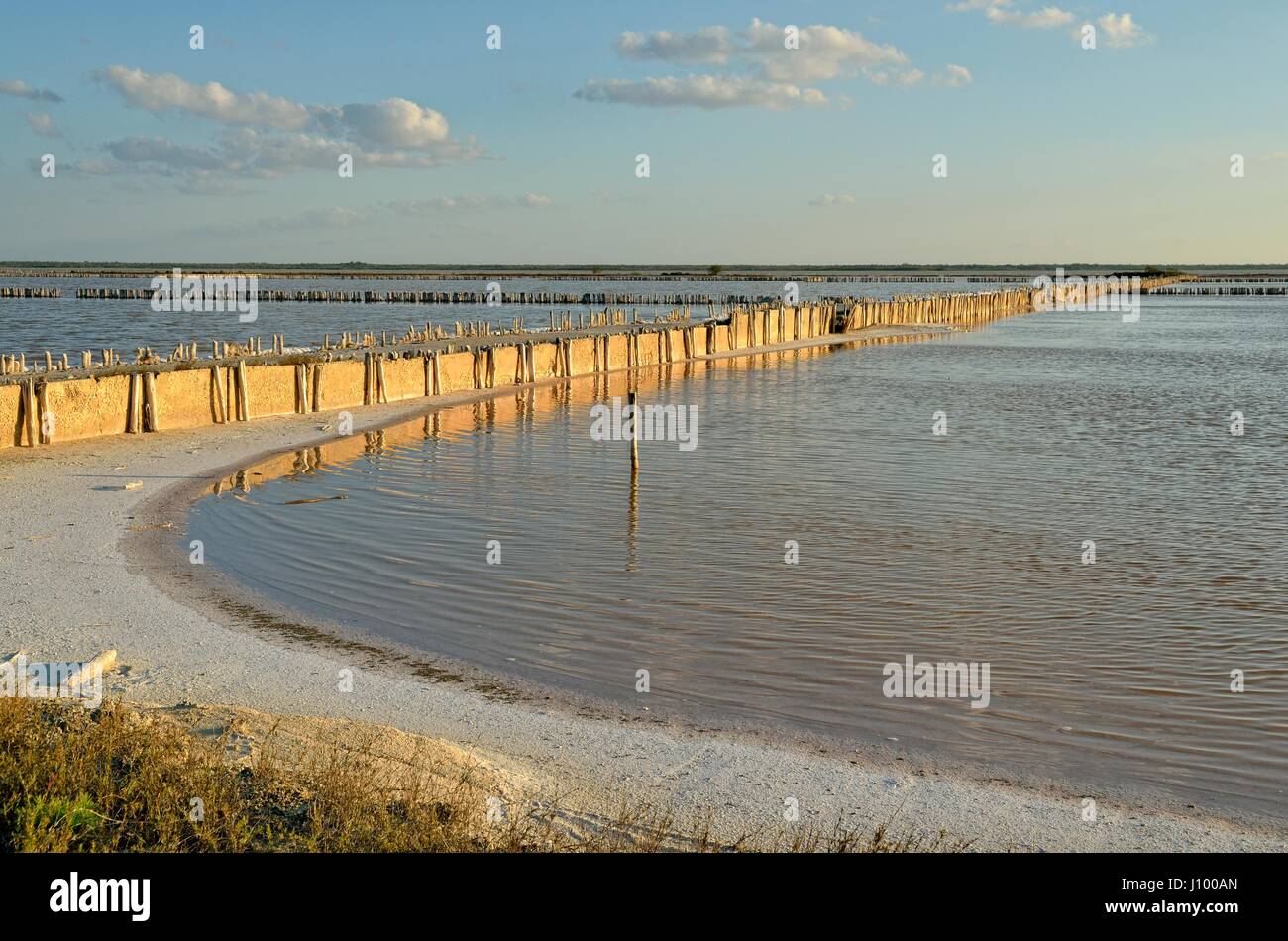 Kochsalzlösung in der Nähe von Las Coloradas, Yucatan, Mexiko Stockfoto