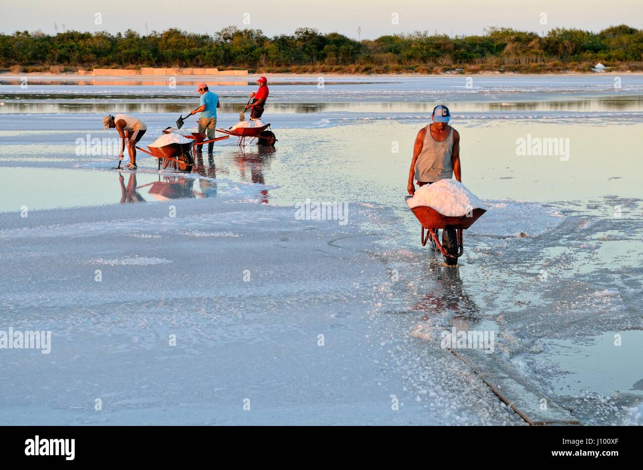 Arbeiter Schaufeln Salz in der Schubkarre, roh Salzproduktion, Kochsalzlösung bei El Cujo, Yukatan, Mexiko Stockfoto