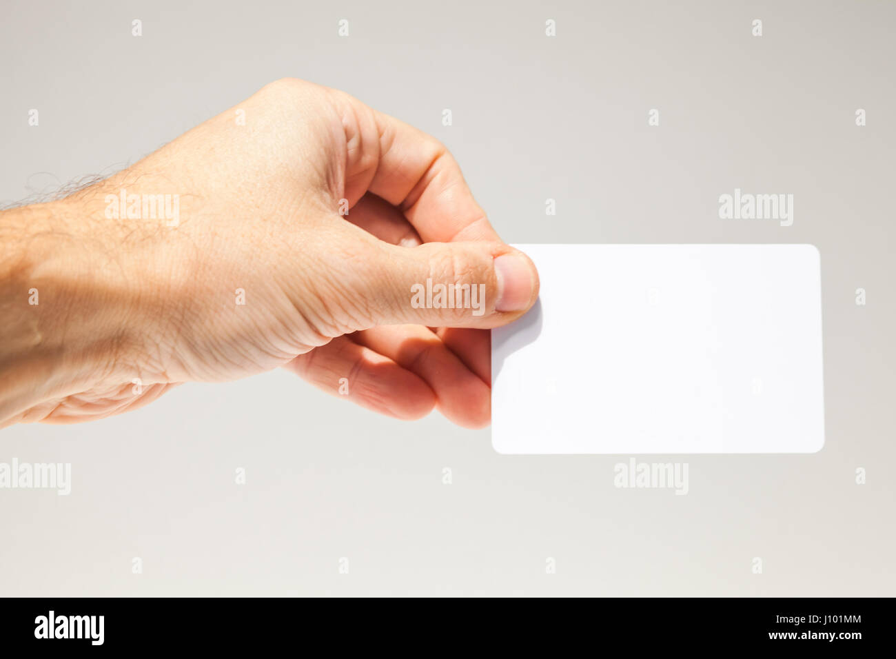Männliche Hand mit weiße leere Karte über graue Wand Hintergrund, Nahaufnahme Foto, selektiven Fokus Stockfoto