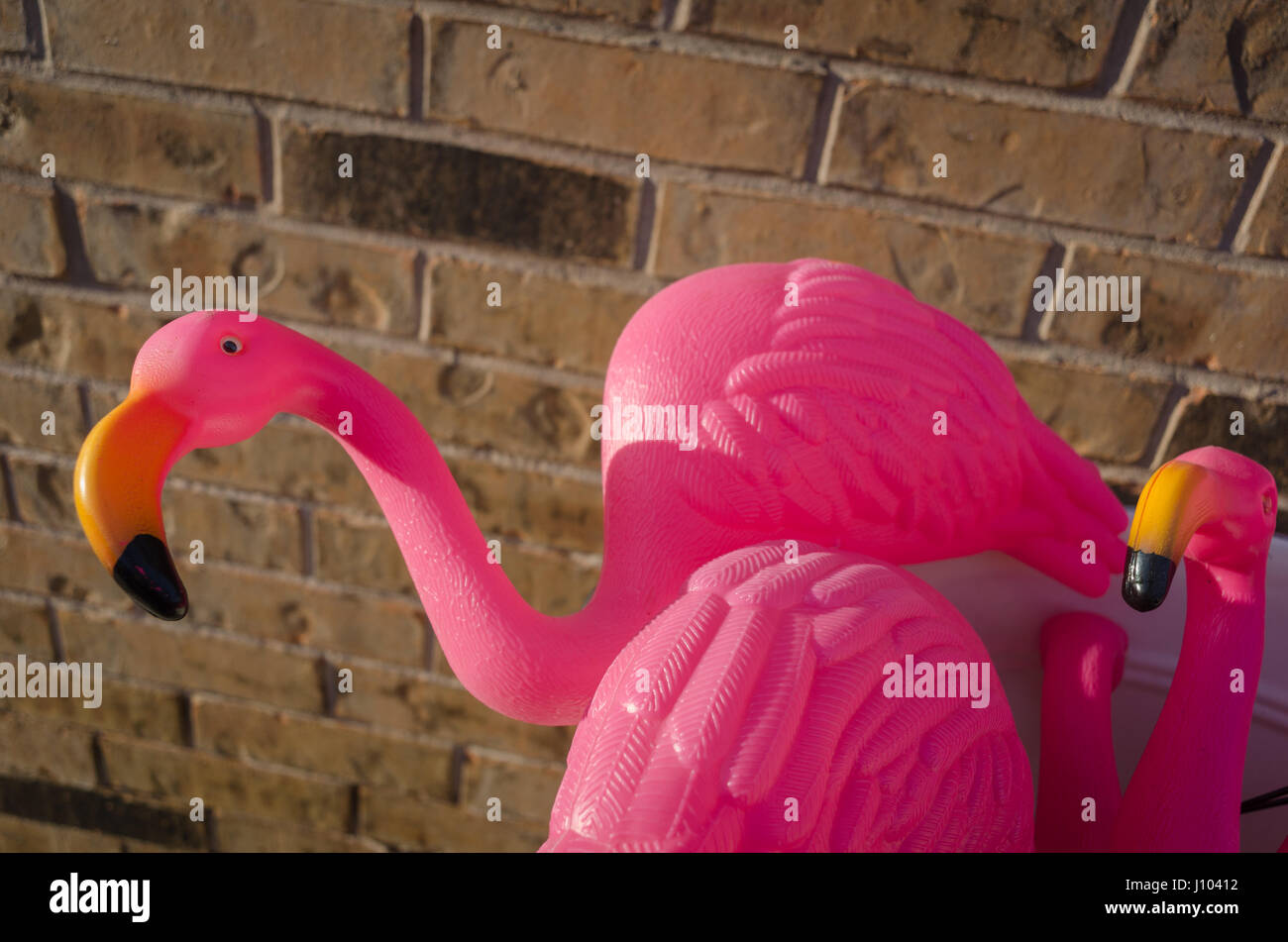 Rosa Flamingos gegen die Wand Stockfoto