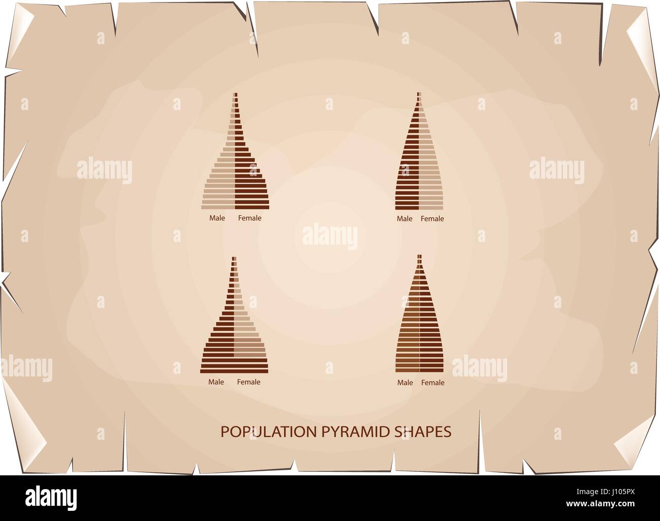 Bevölkerung und Demografie, Illustration von 4 Arten von Bevölkerung Pyramiden Diagramm oder Altersstruktur Graph auf alt Antik Vintage Grunge Papier Textur Bac Stock Vektor