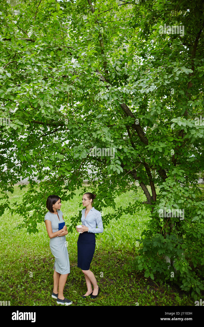 Porträt zweier junger Frauen, gekleidet in Business-Kleidung im Chat unter großen Baum in der Natur in Pause Stockfoto