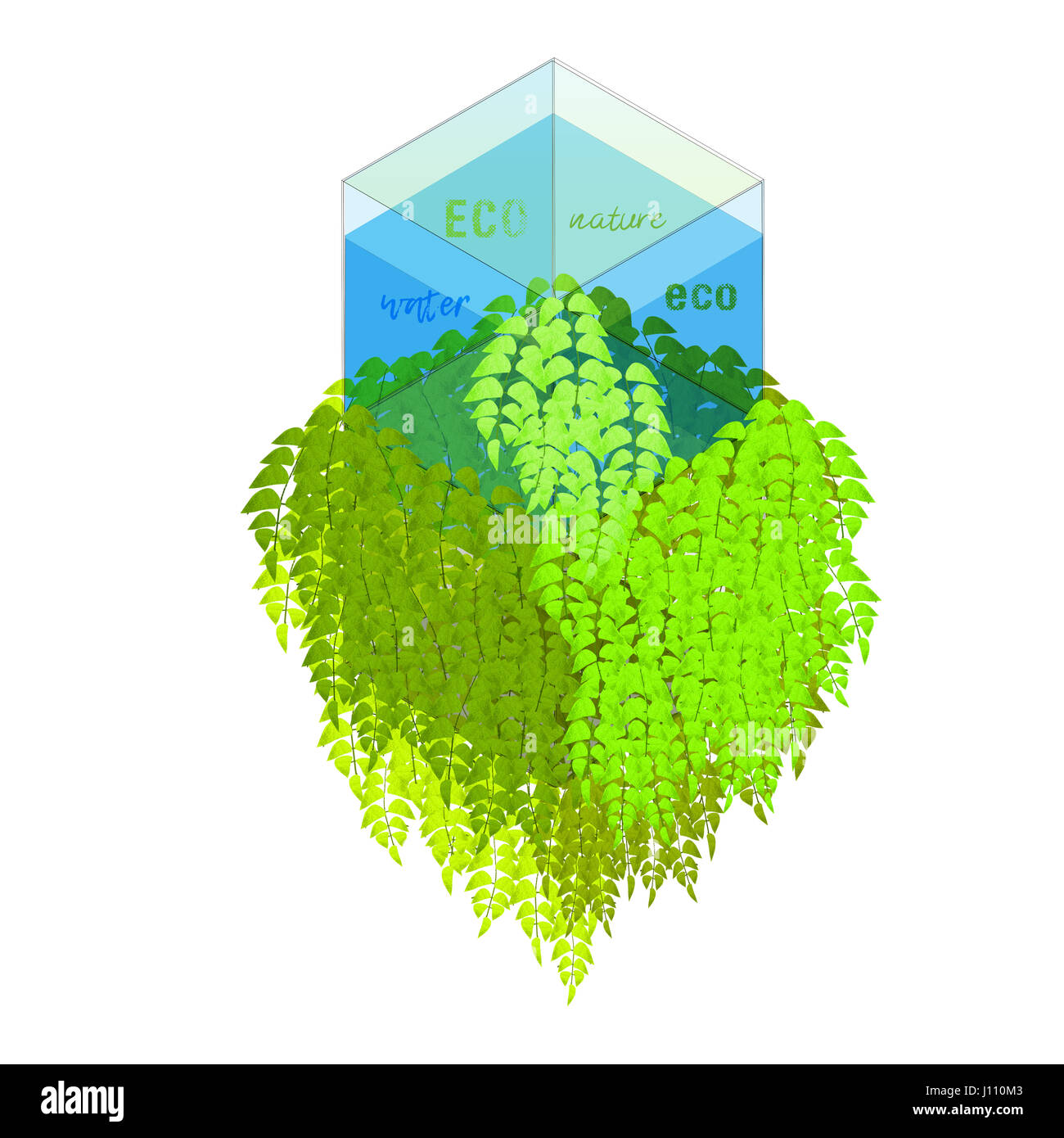 Eco-Konzept mit Wasserwürfel und Grünpflanzen Stockfoto