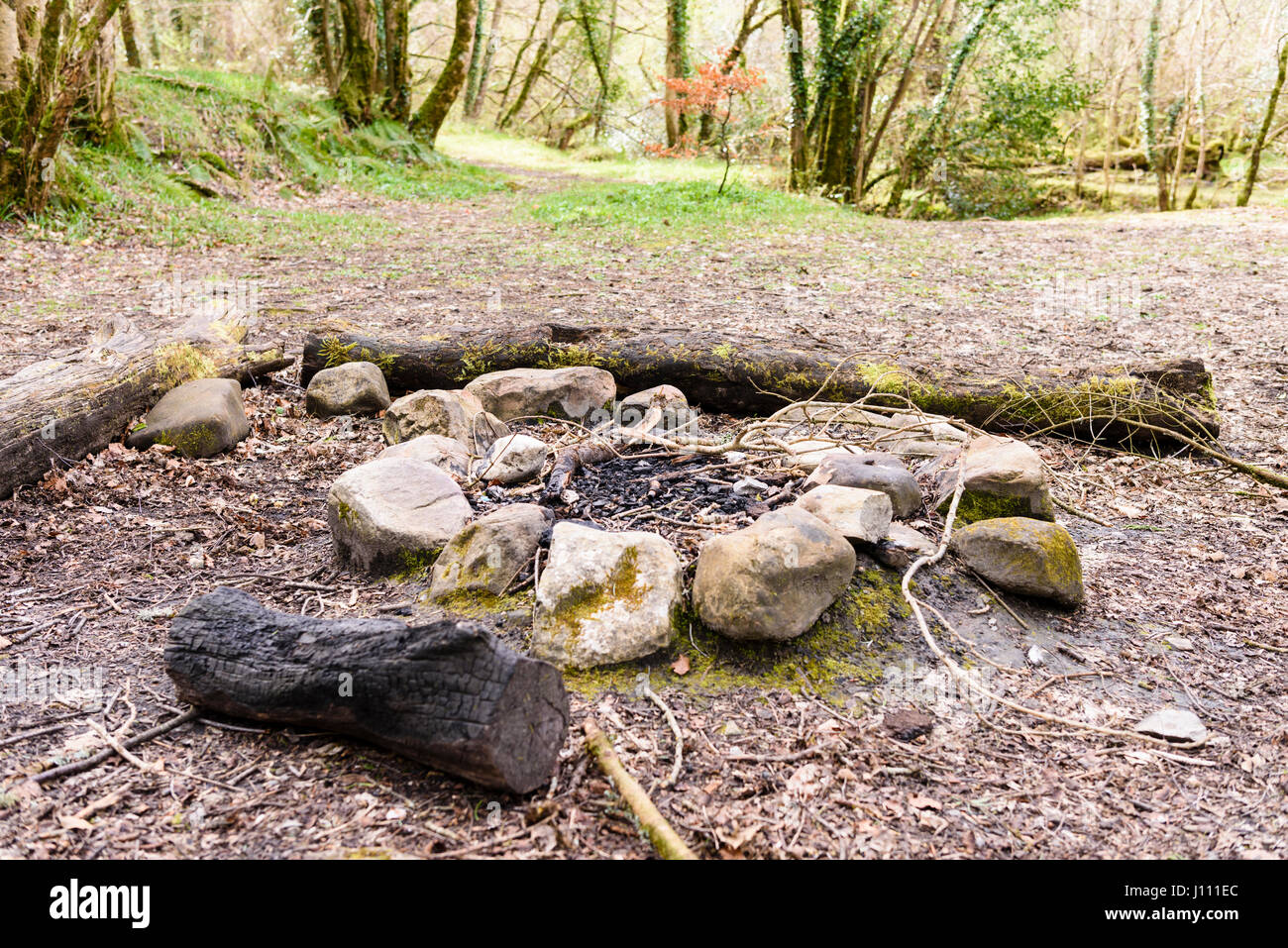 Steinen gebildet in einen Kreis für ein Lagerfeuer im Wald. Stockfoto
