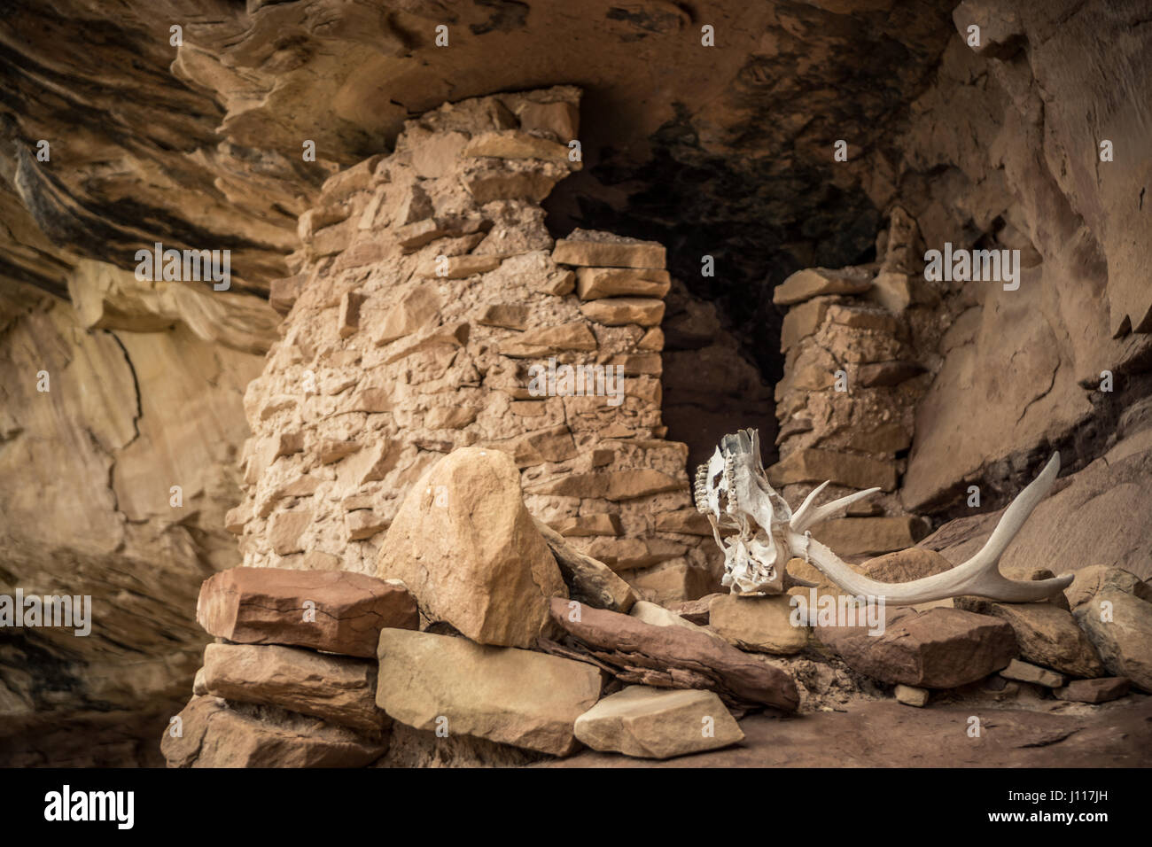 Native American Indian Ruin, Salt Creek, Nadeln Bezirk, Canyonlands National Park, Utah, USA. Stockfoto