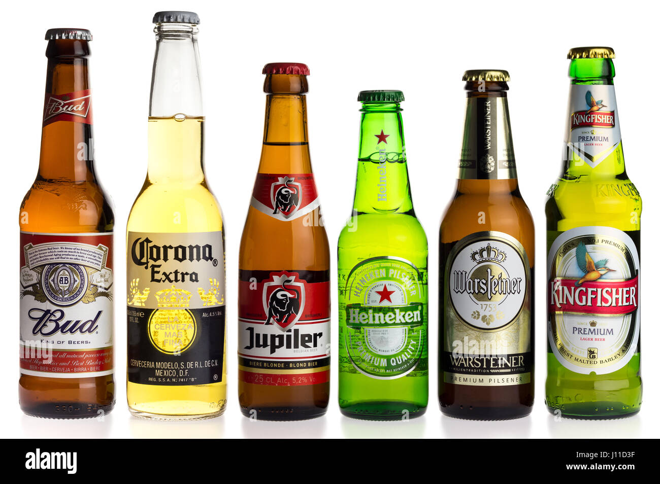 Sammlung von Corona, Jupiler, Heineken, Warsteiner, Budweiser und Kingfisher Lagerbiere isoliert auf weißem Hintergrund Stockfoto