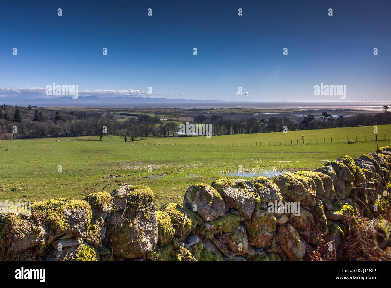 Blick vom wilden Katze Craig in Richtung Solway - Steinmauer Vordergrund. Aufgenommen in der Nähe von Southwick (Caulkerbush), Dumfries and Galloway, Schottland, Großbritannien. Stockfoto