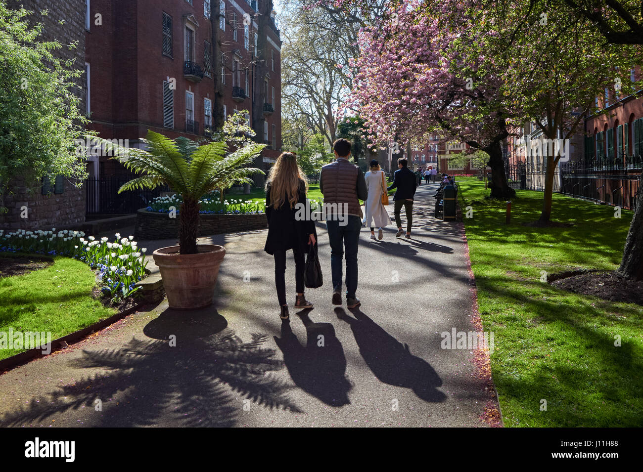 Der Mount Street Gardens in Mayfair, London England Vereinigtes Königreich UK Stockfoto