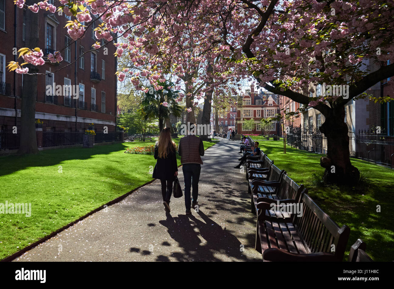 Der Mount Street Gardens in Mayfair, London England Vereinigtes Königreich UK Stockfoto