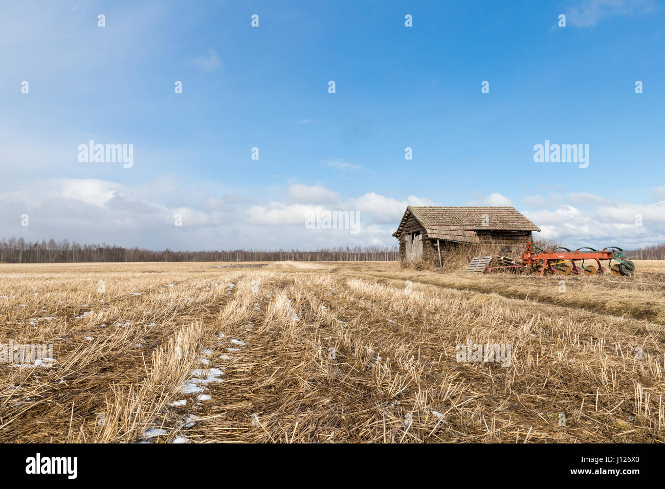 Der Frühling kommt Stockfoto